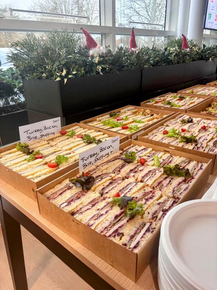Boxes of festive sandwiches with turkey, bacon and brie